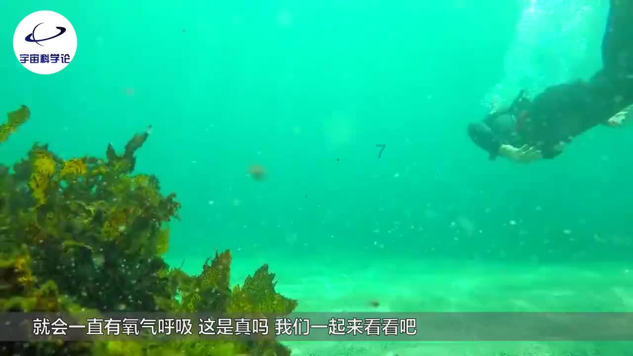 女人吃这种没腿的肉类,能使肌肤光滑润泽,知道的人有多少?